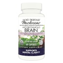 Host Defense MycoBotanicals Brain* Capsules - Suplemento de Apoyo al Cerebro con Mane de León, Reishi & Cordyceps Mushroom - Suplemento Herbal para Memoria &amp; Focus Support - 60 Capsules (30 Servimientos)*