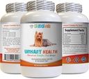 Incontinencia urinaria del perro - Enfermedad urinaria del perro Fórmula - Ayuda con la incontinencia y problemas de la vejiga - Immune Boost - Corn Silk Capsules for Dogs - 1 Bottle (90 Treats)