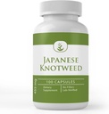 Ingredientes originales puros Japonés Knotweed, (100 cápsulas) Siempre puros, sin aditivos o artillería, Lab Verified