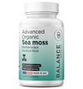 Moss del Mar Irlandés Orgánico, Bladderwrack &amp; Burdock Suplemento 1405mg, 60 Veg Capsules - Immune Booster, Gut Health, Skin Detox &amp; Joint Support (60 Cuenta (Pack of 1))
