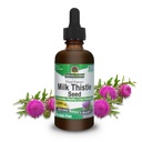 Respuesta de la naturaleza Leche Thistle 2 Ounce Extract - Alcohol Free, Non GMO, Liver Support Suplemento para todos - Liver Detox, Made in USA