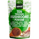 Wixar Mushroom Powder - Ten Treasure Mushrooms Extract Supplement Blend for Coffee & Smoothies - Lions Mane, Turquía Tail, Reishi, Chaga, Shiitake, Cordyceps, Complex - 4oz Mushroom Supplement