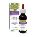 Naturalma Beat Thistle o Holy Thistle (Cnicus benedictus) herb with Flowers Alcohol-Free Tintura - 4 fl oz Liquid Extract in Drops - Herbal Supplement - Vegan