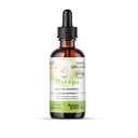 Bacopa gotas - Mejora la concentración de memoria, Focus - Bacopa Monnieri Extracto ¦ Suplemento de memoria Suplemento de memoria Cognitive Enhancement ← Herbal Remedy 2.0 fl oz - WellnessHerbs Se envía de EE.UU.