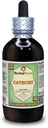 Catechu (Acacia Catechu) Glycerite, Dried Herb Extracto líquido libre de alcohol (Marca: HerbalTerra, Proudly Made in USA) 4 fl.oz (120 ml)