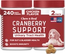 Tratamiento de la UTI de perros Suplemento de arándano para perros, 240 cerdas suaves - Natural Urinary Tract Infection Apoyo y Control de la vejiga saludable – Hecho con Echinacea y vitamina C (2 paquetes de 120)