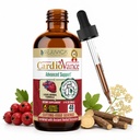 Rejuvica Health CardioVance - Heart Support Supplement - Liquid Delivery for Better Absorption - Hawthorne, Hibiscus, Arjuna, Olive Leaf &amp; More!