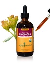 Herb Pharm Certified Orgánica Rhodiola Extract for Energy, Endurance and Stamina, Alcohol-Free Glycerite, 4 Ounce
