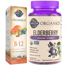 Garden of Life Organics Elderberry Immune Gummies, 120 Conde & B12 Vitamin Raspberry Spray, 500mcg, 2oz