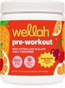 Wellah Pre-Workout Drink Mix (Fruit Punch Flavored, 30 Servings) - con Citrulline Malate y L-Theanine, 200mg de Natural Caffeine &amp; 1000mg de Beta-Alanine