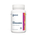 Renue By Science Ashwagandha ← High Strength Liposomal Ashwagandha Suplementos  90 Ashwaganda Capsules - 200mg Ashwagandha per Serving ← Non-GMO Silencio Hecho en los Estados Unidos Tested