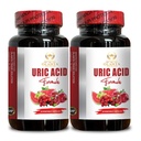 URIC Acid - Suplemento Orgánica Uric Acid con Extracto de Cereza Tart, semillas celery, Uric Acid Support Suplemento Milk Thistle y Bromelain - 2 botellas 120 cápsulas