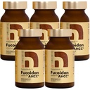 Fucoidan alimentado con AHCC® Brown Seaweed Immunity Supplement with High Purity Organic Mekabu Mozuku Agaricus 5 Botellas - 800 cápsulas vegetales Hecho en Japón