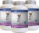 Alivio de la diarrea de perros - PROBIOTICS for Dogs - Gut saludable - Stop Gas Diarrhea and Bad Breath - Probióticos de perros y enzimas digestivas - 3 Botellas (180 Treats)