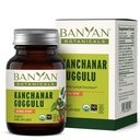 Banyan Botanicals Kanchanar Guggulu Tablets – Suplemento de linfa orgánica con Guggulu Resin – promueve la eliminación saludable de las toxinas naturales* – 90 Tablets – No GMO Sosteniblemente Fuente Vegan