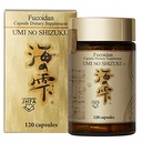 Fucoidan Capsule Pure Seaweed Extracto mejorado con Agaricus Mushroom optimizado Immune Soporte Salud Suplemento-120 cápsulas