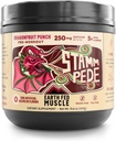 Fed Muscle Stammpede Pre Workout – Dragon Fruit Punch, Clean Energy, Focus, Muscle Support, No Fillers o Sabores Artificiales, 30 Servings