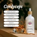 Rainbo - Cordyceps Mushroom Tintura - Alcohol Gratis - Doble Extract Mushroom Suplemento - Immune Support, Energy, Liquid Cordyceps Supplement, Vegan, Non GMO, 3.4 fl oz