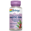 SOLARAY Mastic Gum Extracto 500 mg 45 Cuenta