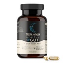TERRA ORIGIN Healthy Gut Reset PM | 60 Veggie Capsules | Natural Sleep Aid Supplement for Sleep & Wake Cycles | GABA, L-Theanine, Melatonin, L-Glutamine, Licorice Root, Slippery Elm Root