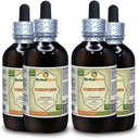 Cordyceps (Cordyceps Sinensis) Tincture, Orgánica Dried Mushroom Powder Liquid Extract (Marca: HerbalTerra, Proudly Made in USA) 4x4 fl.oz (4x120 ml)