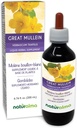 Naturalma Gran Mullein o Mullein Común (Verbascum thapsus) Flor y hoja Hidrocarburo Sin alcohol Tintura - 6.76 fl oz Extracto líquido en gotas - Suplemento Herbal - Vegan