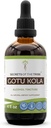 Secretos de la Tribu Gotu Kola Tincture Alcohol Liquid Extract, Gotu Kola (Centella Asiatica) Dried Herb (4 FL OZ)