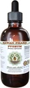 African Cherry Pygeum Alcohol-Free Liquid Extract, African Cherry Pygeum (Prunus africana) Bark Glycerite Natural Herbal Supplement, Hawaii Pharm, USA 4 oz