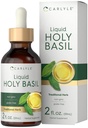 Carlyle Holy Basil Tincture TENIDO 2 Fl Oz TENIDO Líquido Suplemento TENIDO Tulsi Leaf ANTE Las gotas Vegetarianas ANTE No GMO, Gluten Free