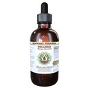 Extracto líquido libre de alcohol Brahmi, líquido orgánico Brahmi (Bacopa Monnieri) entero hierba seca Glycerite Hawaii Pharm Natural Herbal Suplemento 2 oz