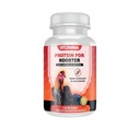 Protein Blend for Rooster Chicken - Proteina a Base de Suero de Leche y Albumina de huevo para Gallos 100 listas