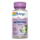 SOLARAY Moringa capsules 900 mg - Moringa Suplemento con 135 mg Saponinas - Herbal Support w/Naturalmente Occurring Vitamins, Minerales, Aminoácidos, Vegan, Garantía de 60 días, 30 Serv, 60 VegCaps
