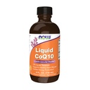 AHORA Suplementos, CoQ10 Líquido, 100 mg por Teaspoon, con vitaminas Co-enzima B, Endulzado con Xylitol, 4 onzas
