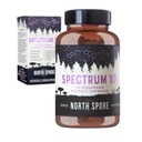 North Spore Organic 'Spectrum 10' High Potency Mushroom Capsules ← Cognitive Supplement  Lion's Mane, Chaga, Cordyceps, Reishi, Turkey Tail ← 10 Medicinal Mushrooms TEN Energy, Focus, Clarity - 60ct