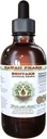 Shiitake Alcohol-Free Liquid Extract, Organic Shiitake (Lentinula Edodes) Dried Mushroom Glycerite Natural Herbal Suplemento, Hawaii Pharm, USA 2 fl.oz