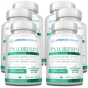 Pyloriprin - Apoyo Digestivo Avanzado para una estomacha saludable - Zinc L-Carnosine, Probiótico, Broccoli Sprout, Deglycyrrhized Licorice - 360 cápsulas - seis meses de suministro - Vegan