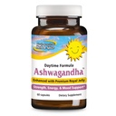 NORTH AMERICAN HERB &amp; SPICE Ashwagandha 60 caps