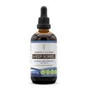 Sombra de oveja Tintura Extracto sin alcohol, Sombra de oveja (Rumex Acetosella) Herb seco 4 oz