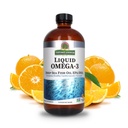 Respuesta de la naturaleza Liquid Omega-3 ← Deep Sea Fish Oil with EPA/DHA Dietary Supplement TEN Cardiovascular Support Silencio No Preservatives " Gluten-Free 16oz (Pack of 1)
