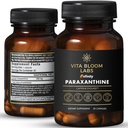Enfinity Paraxanthine Capsules, Clean Energy & Focus, Caffeine Alternative TEN 200 mg por Capsule TEN 30 Capsules per Bottle ANTE Formulated in USA, GMP Certified, Non-GMO, Kosher