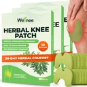 Wellnee Original Herbal Knee Patch - Wellknee Plaster para Knee Support &amp; Muscle Pain - Maximum Strength for a Temporary Relief - Adhesive Heed with Natural Herbs for Wellness (30 Pads)