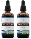 Secretos de la tribu Hydrangea Tincture Extracto líquido libre de alcohol, Hydrangea (Hydrangea arborescens) Root seco (2x4 FL OZ)