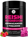Natural Reishi Mushroom Gummies " L Theanine with Ashwagandha - Potent Mushroom Supplements for Immune Support, Stress Relief " Improve Sleep Gummies - Ashwagandha Gummies for Women " Men
