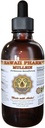 Mullein Liquid Extract, Organic Mullein (Verbascum densiflorum) Tincture, Herbal Supplement, Hawaii Pharm, Made in USA, Hawaii Pharm, Made in USA 2 fl.oz