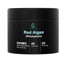 Holistic Bin Red Marine Algae Capsules Gigartina y Dumontiacea Red Algae Suplementos TEN Gluten Free, Vegan, Wild Harvested TEN Rich in Vegan Omega 3 (40 Capsules)