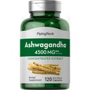 Piping Rock Ashwagandha Capsules Silencio 120 Conde ← Herbal Suplemento con Black Pepper Extracto Silencio para Mujeres y Hombres