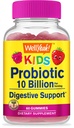 WellSí Probióticos para niños Gummies -10 Billion CFU - para Gut Health, Immune Health and Digestive Support - Berry Flavor Chewable Suplemento - Vegan, Non GMO, Gluten Free Kids Probiotic -60 Gummies