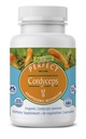 Suplementos perfectos – Cordyceps perfectos – 90 cápsulas vegetales – Suplemento herbal adapto orgánico – aumenta la energía, la resistencia y la fuerza