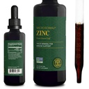 Global Healing USDA Organic Zinc Supplements Liquid - Pure Vitamin Drops for Immune System Boost, Hormone Balance, and Healthy Aging - Natural, Vegan-Friendly, Non-GMO, Organic Zinc Vitamins (2 Fl Oz)