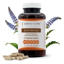 Secretos de la Tribu Azul Vervain 120 Capsules, 1000 mg, Azul Vervain (Verbena Hastata) Herb seco (120 cápsulas)